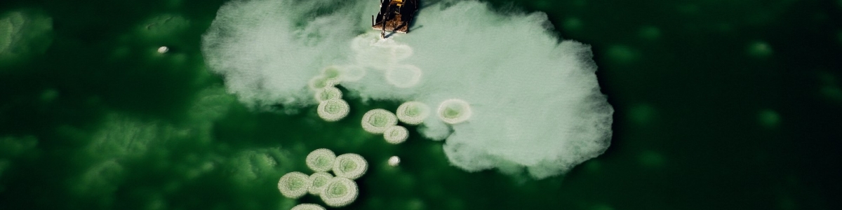 Salines, Israël – Yann Arthus-Bertrand Photographie