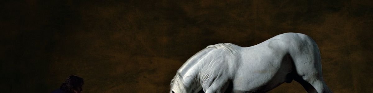 Pure-Bred Spanish stallion 2, France – Yann Arthus-Bertrand Photography